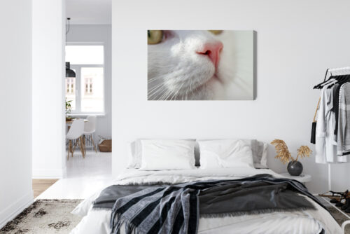 Obraz na płótnie Kot Zbliżenie pyszczka  Premium Canvas - obrazek 7