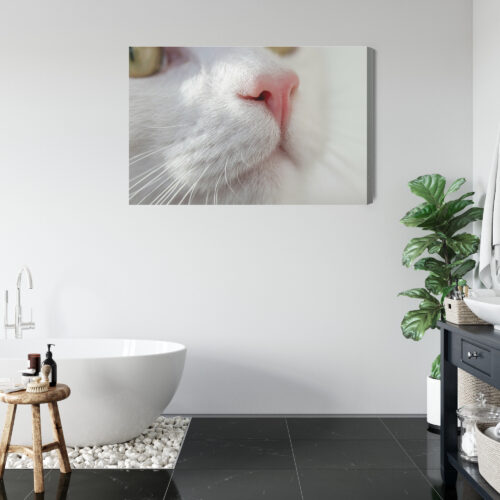 Obraz na płótnie Kot Zbliżenie pyszczka  Premium Canvas - obrazek 5