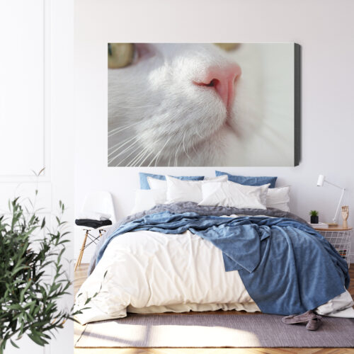 Obraz na płótnie Kot Zbliżenie pyszczka  Premium Canvas - obrazek 3