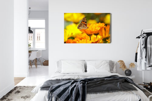 Obraz na płótnie Natura Motyl na nagietku Premium Canvas - obrazek 7