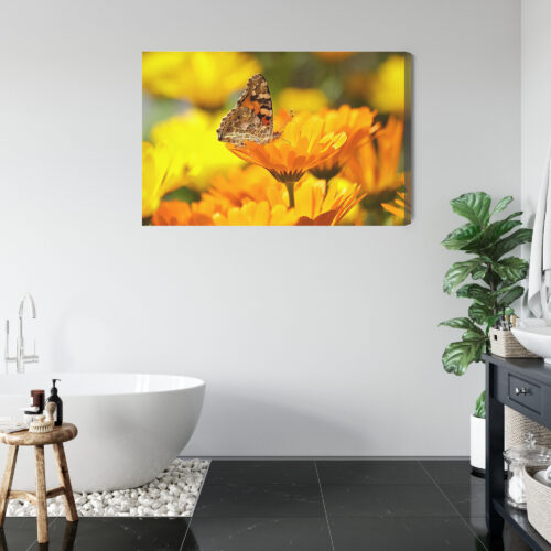 Obraz na płótnie Natura Motyl na nagietku Premium Canvas - obrazek 5