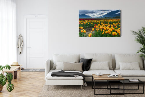 Obraz na płótnie Natura Pole tulipanów w górach Premium Canvas - obrazek 6