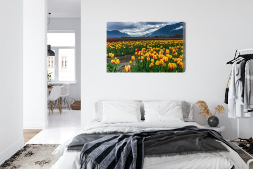 Obraz na płótnie Natura Pole tulipanów w górach Premium Canvas - obrazek 7