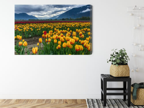 Obraz na płótnie Natura Pole tulipanów w górach Premium Canvas - obrazek 8