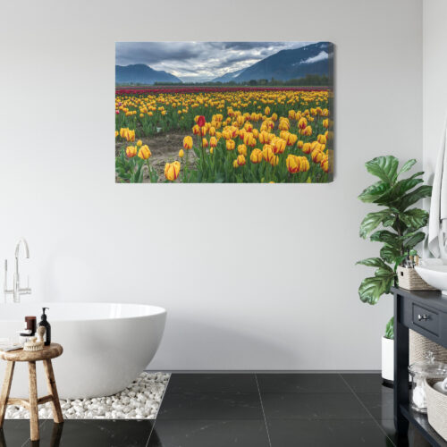 Obraz na płótnie Natura Pole tulipanów w górach Premium Canvas - obrazek 5