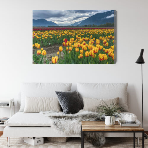 Obraz na płótnie Natura Pole tulipanów w górach Premium Canvas - obrazek 4