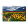 Obraz na płótnie Natura Pole tulipanów w górach Premium Canvas