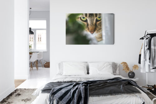 Obraz na płótnie Zwierzęta Kot spoglądający zza liści Premium Canvas - obrazek 7