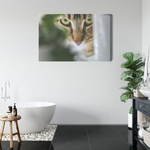 Obraz na płótnie Zwierzęta Kot spoglądający zza liści Premium Canvas - obrazek 5