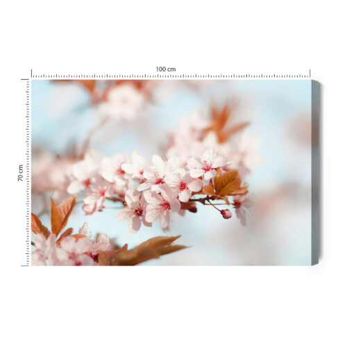Obraz na płótnie Kwiaty Fotografia Kwiat wiśni  Premium Canvas