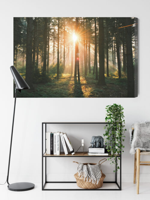 Obraz na płótnie Las Natura Promienie słońca  Premium Canvas - obrazek 9
