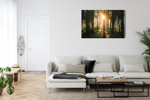 Obraz na płótnie Las Natura Promienie słońca  Premium Canvas - obrazek 6