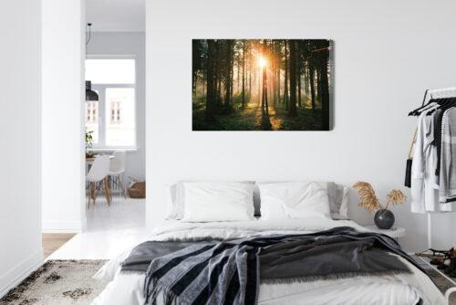 Obraz na płótnie Las Natura Promienie słońca  Premium Canvas - obrazek 7