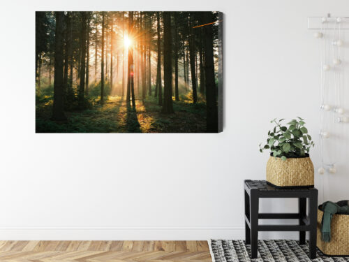 Obraz na płótnie Las Natura Promienie słońca  Premium Canvas - obrazek 8