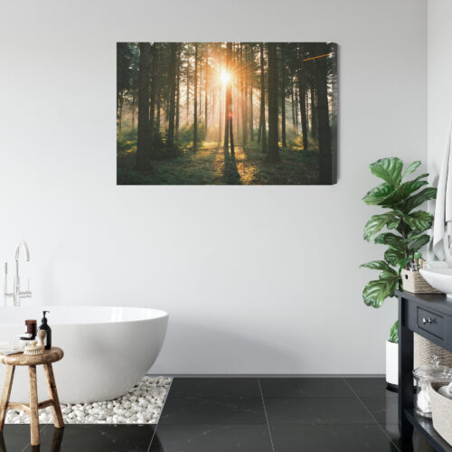 Obraz na płótnie Las Natura Promienie słońca  Premium Canvas - obrazek 5
