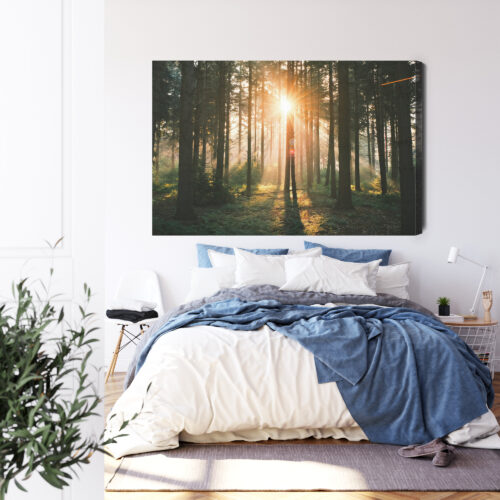 Obraz na płótnie Las Natura Promienie słońca  Premium Canvas - obrazek 3