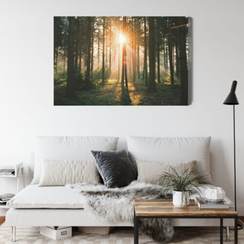 Obraz na płótnie Las Natura Promienie słońca  Premium Canvas - obrazek 4
