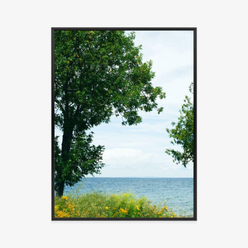 Plakat w ramie Jezioro Drzewa Natura Letni Widok Premium