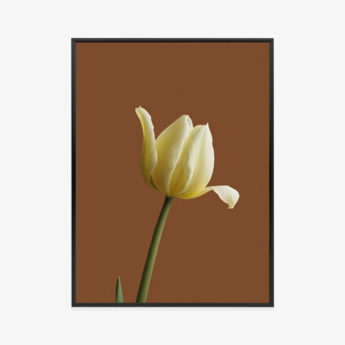 Plakat w ramie Tulipan Kwiaty Minimalistyczny Premium