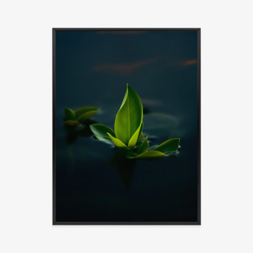 Plakat w ramie Natura Minimalizm Zielony Liść Premium