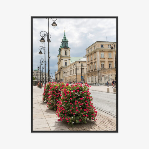 Plakat w ramie Warszawskie kwiaty Premium