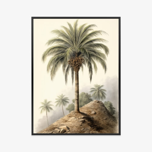 Plakat w ramie Palma Tropikalny Botaniczna ilustracja Premium