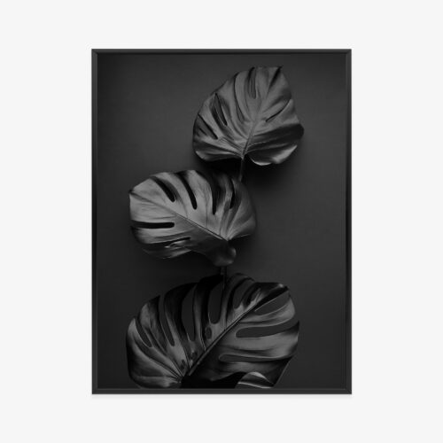 Plakat w ramie liście Monstera Minimalistyczny czarny Premium