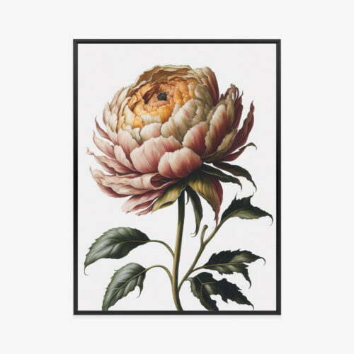 Plakat w ramie Kwiat Piwonia botaniczny realizm Premium