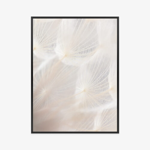 Plakat w ramie Natura Makro delikatne dmuchawce Premium