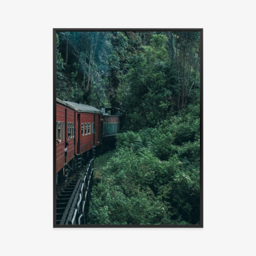 Plakat w ramie pociąg Vintage dżungla podróż Premium