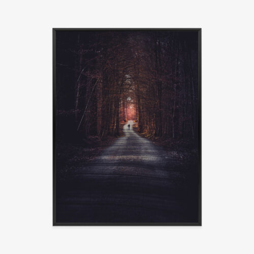 Plakat w ramie Droga Leśna Tajemnicza głębia Premium