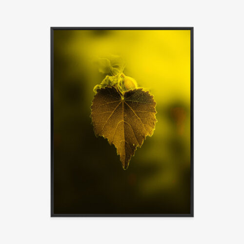 Plakat w ramie liścia w żółtej tonacji Premium